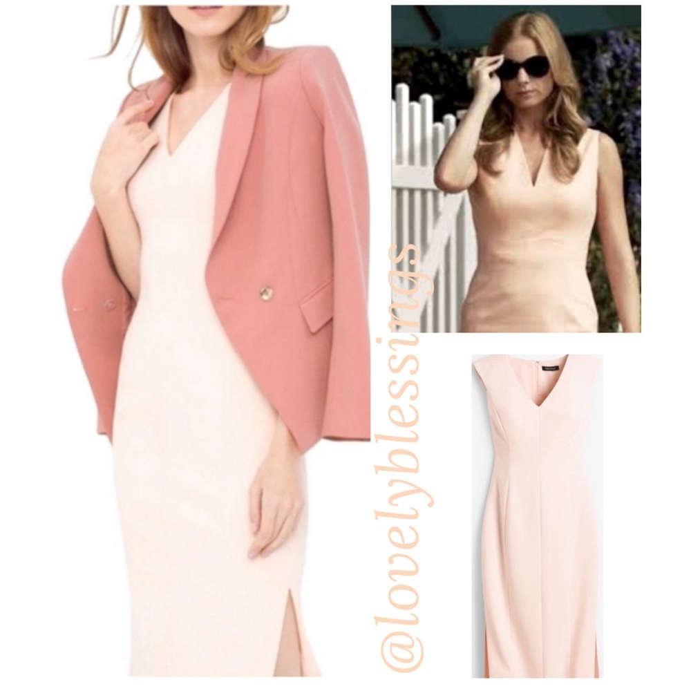 Elegant Blush Pink Dress VNeck White House Black Market Revenge Style Size 2 P